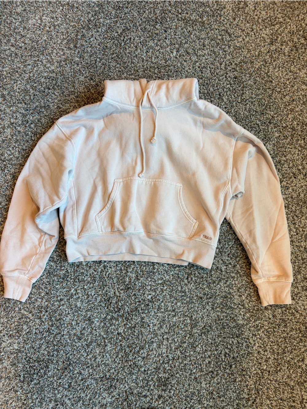 Aritzia TNA Cozy Fleece Hoodie